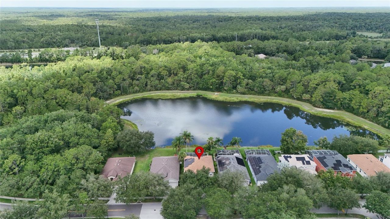 19128 Meadow Pine Drive , Tampa, FL 33647 Photo