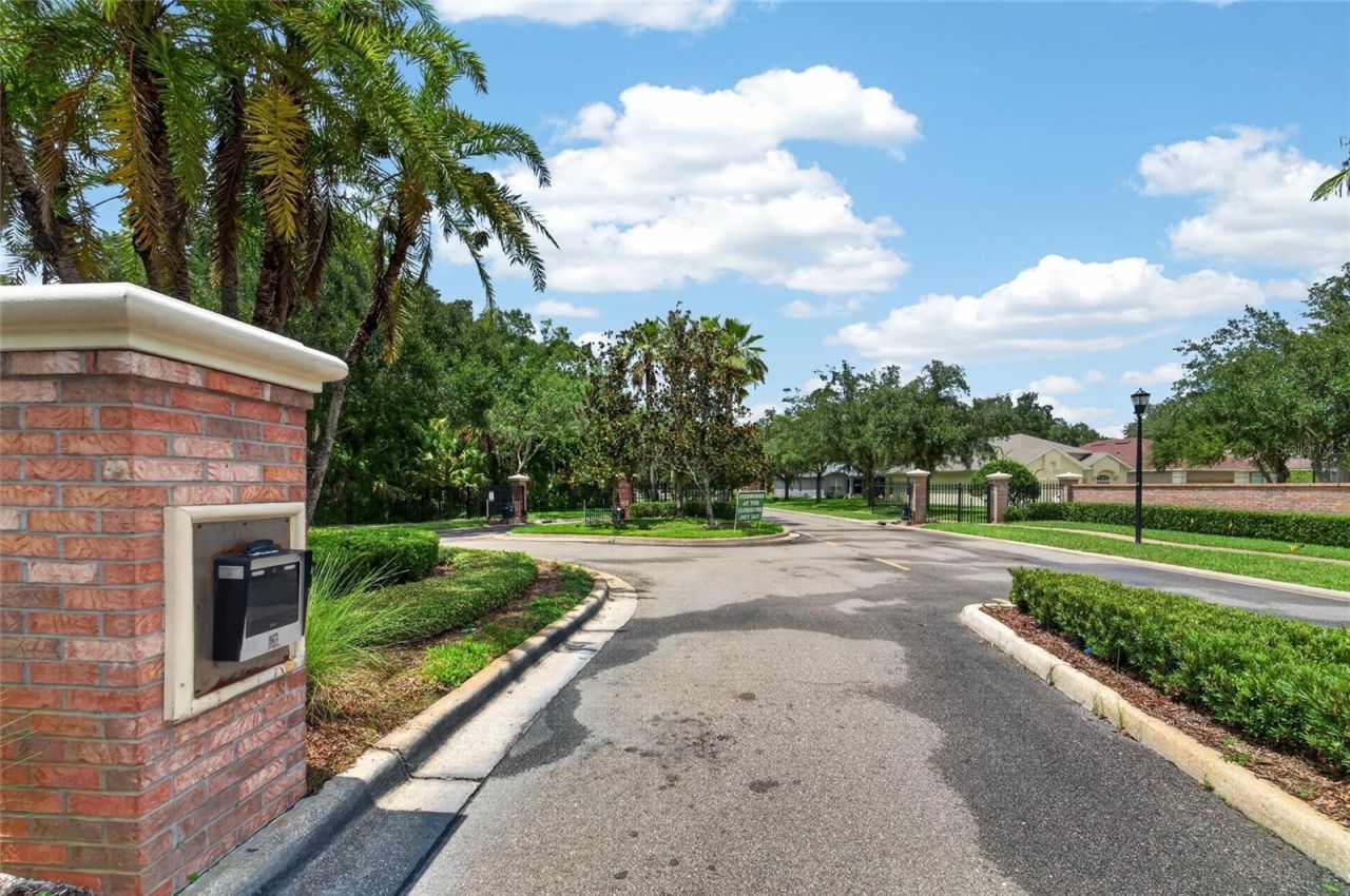 19128 Meadow Pine Drive , Tampa, FL 33647 Photo