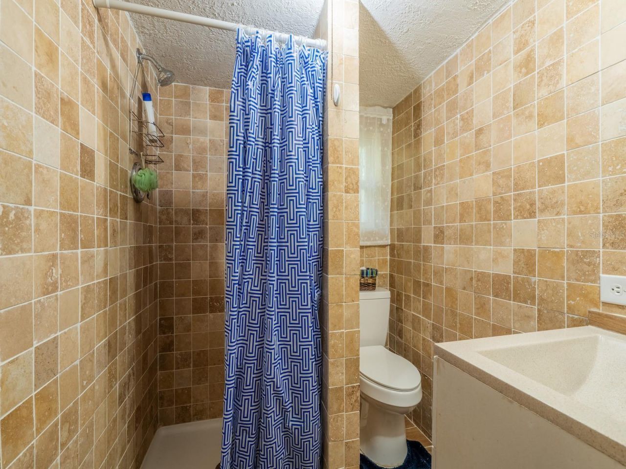 17649 NE 246 Place , Fort Mc Coy, FL 32134 Photo