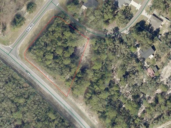 3 BAY DRIVE , OCKLAWAHA, FL 32179