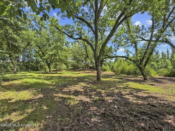 Co Rd 13 , Louin, MS 39338