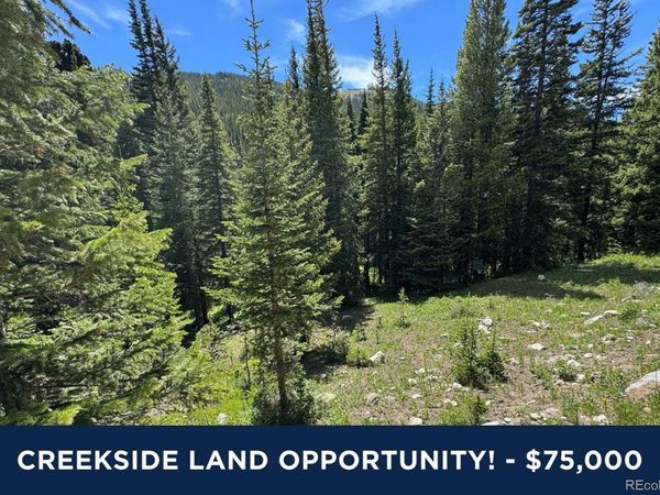 3894 Fourth of July Road , Nederland, CO 80466