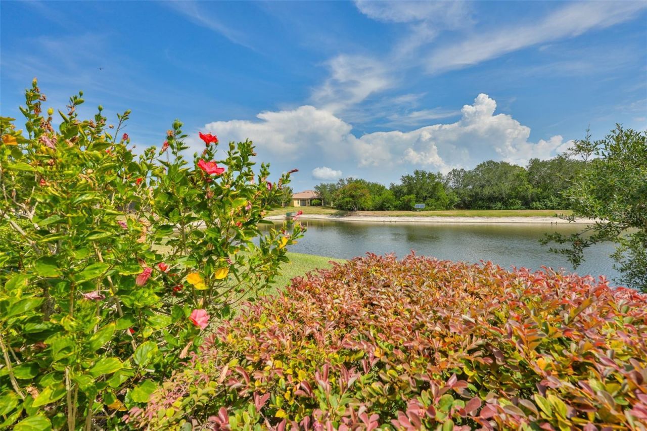 5618 Sunset Falls Drive , Apollo Beach, FL 33572 Photo