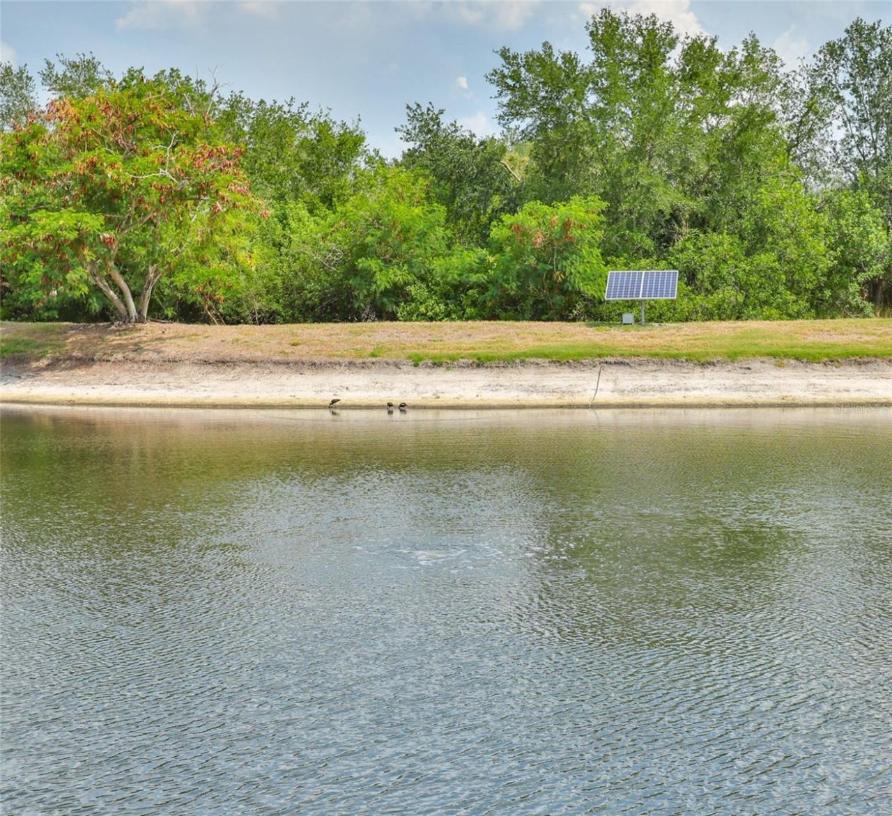 5618 Sunset Falls Drive , Apollo Beach, FL 33572 Photo
