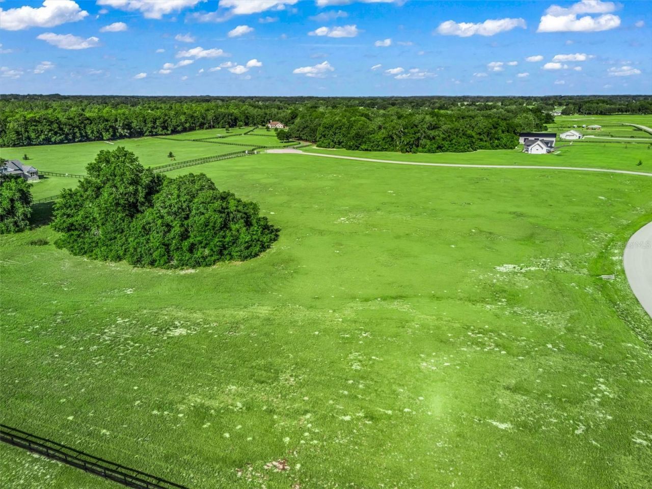0 NE 54th Terrace, Anthony, FL 32617 Photo