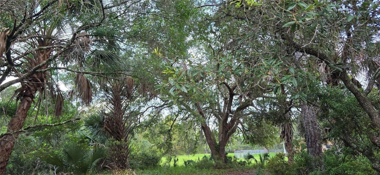 6150 SW 126th Avenue, Cedar Key, FL 32625 Photo