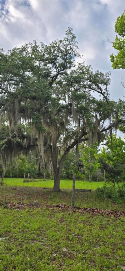 6150 SW 126th Avenue, Cedar Key, FL 32625 Photo