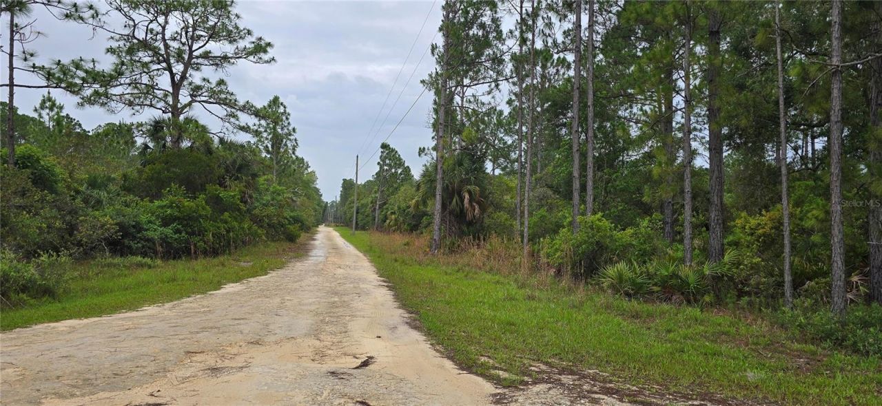 6150 SW 126th Avenue, Cedar Key, FL 32625 Photo