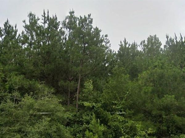 0 BULLARD Road, Ward, LA 71024