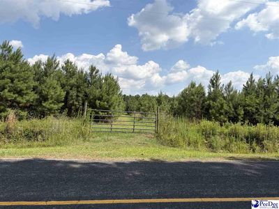 TBD Highway 556, Scranton, SC 29591