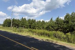Tbd Highway 556 photo 4