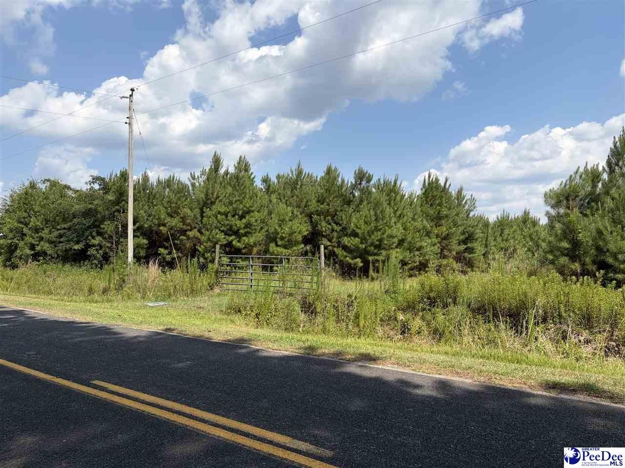 Tbd Highway 556 Photo 4