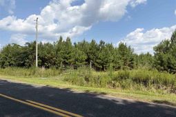 Tbd Highway 556 photo 4
