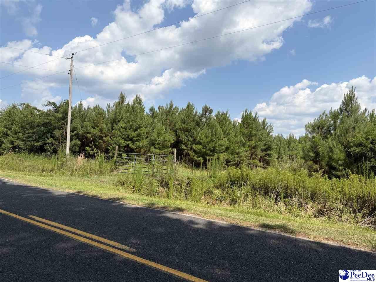 Tbd Highway 556 Photo 5
