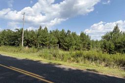 Tbd Highway 556 photo 4