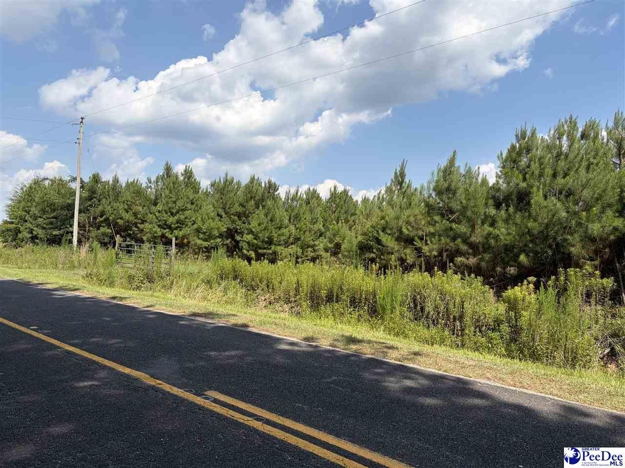 Tbd Highway 556 Photo 6