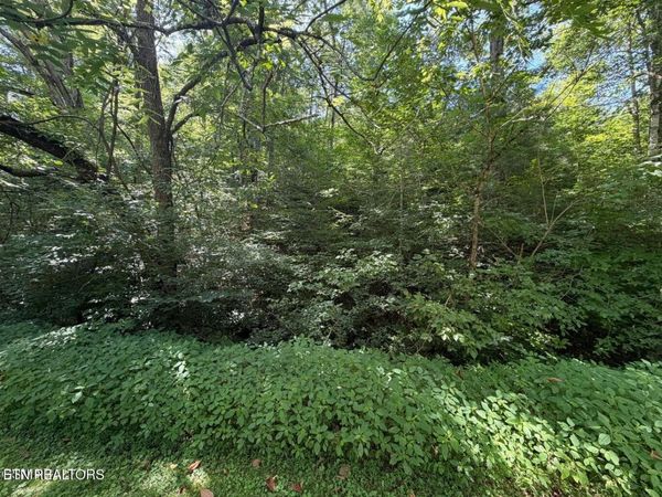 Lot 12 Smoky Mountain Way, Sevierville, TN 37876