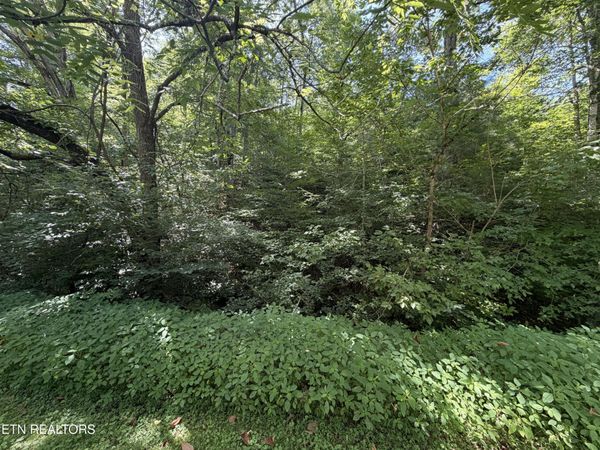 Lot 14 Smoky Mountain Way, Sevierville, TN 37876