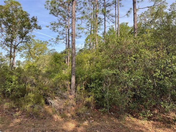 TBD NE 76TH , BRONSON, FL 32621