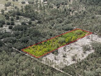 Lot 00 NE 56TH ST Bronson, FL 32621