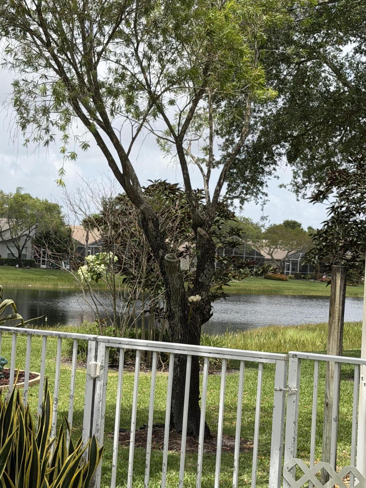 8046 Florenza Drive, Boynton Beach, FL 33472 Photo