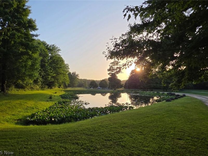 10550 Vaughn Road, Mantua, OH 44255 Photo 4