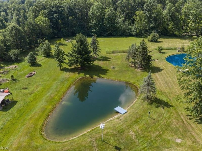 7974 Buffham Road, Lodi, OH 44254 Photo 2