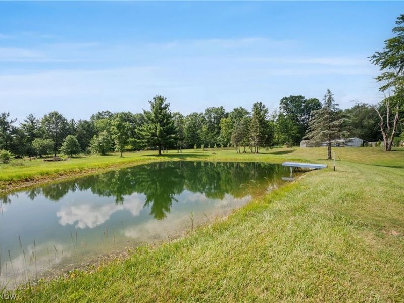 7974 Buffham Road, Lodi, OH 44254 Photo 29