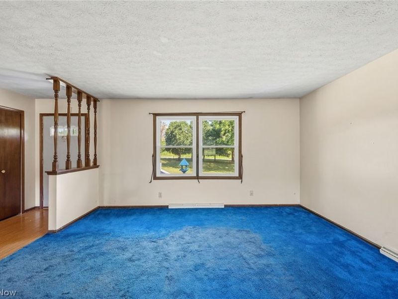 7974 Buffham Road, Lodi, OH 44254 Photo 9