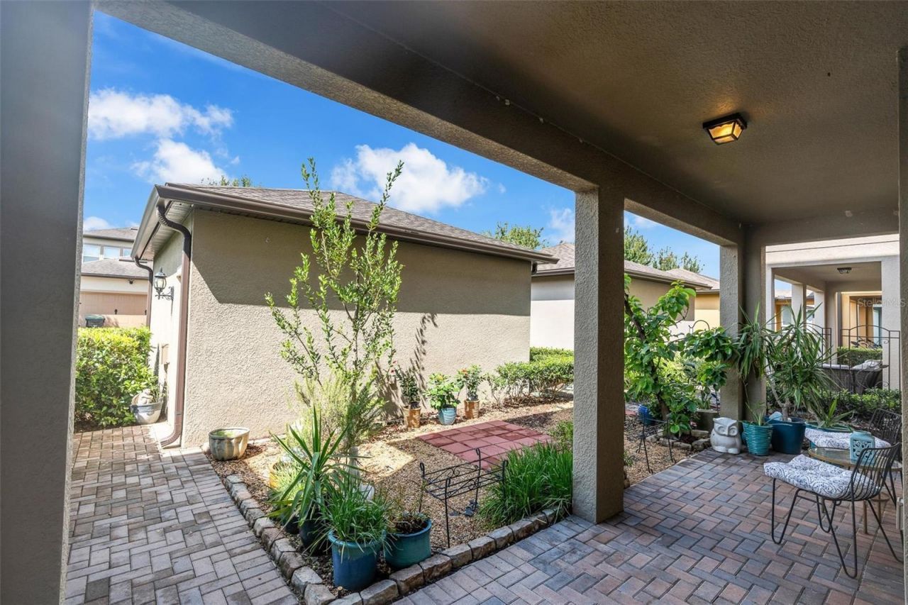 14230 Murcott Blossom Boulevard , Winter Garden, FL 34787 Photo