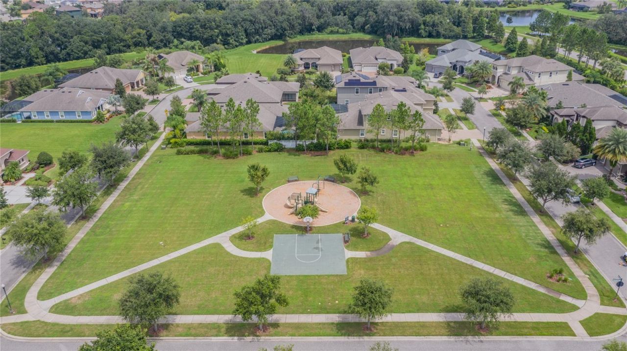 33161 Kateland Drive, Wesley Chapel, FL 33545 Photo
