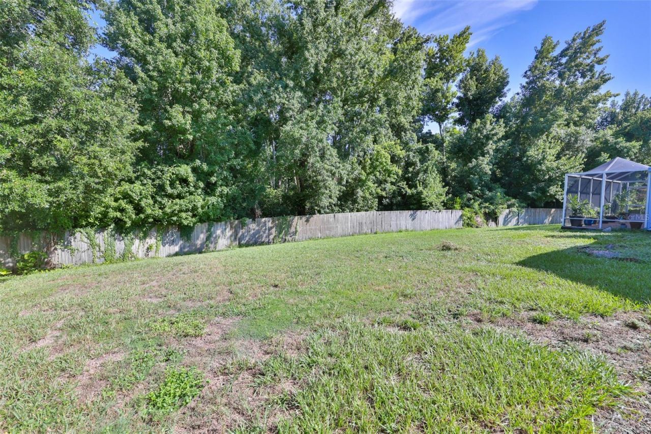 3349 Silvermoon Drive, Plant City, FL 33566 Photo