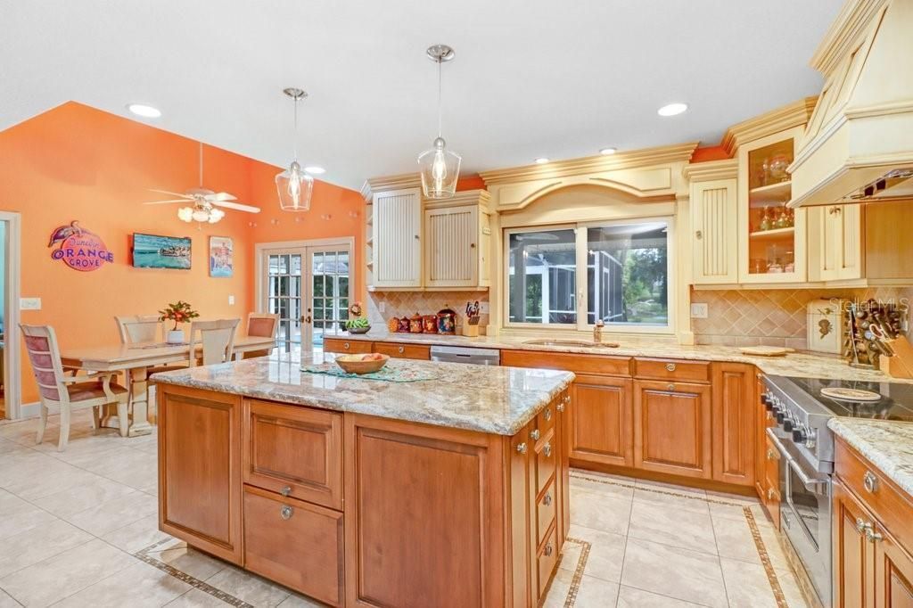1976 Dunloe Circle, Dunedin, FL 34698 Photo