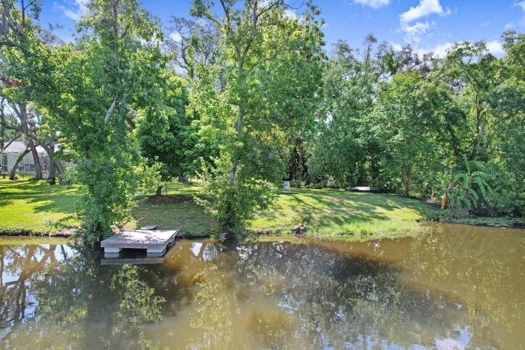1976 Dunloe Circle, Dunedin, FL 34698 Photo