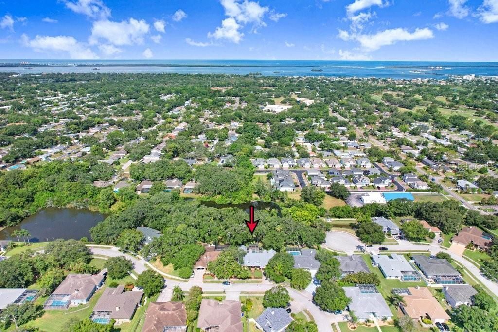 1976 Dunloe Circle, Dunedin, FL 34698 Photo