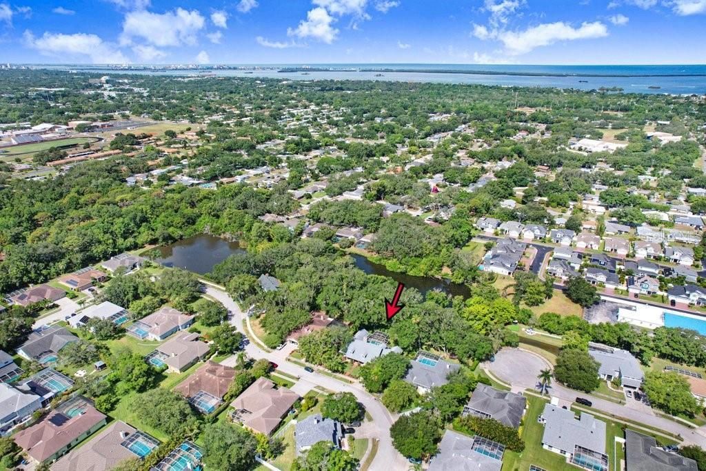1976 Dunloe Circle, Dunedin, FL 34698 Photo