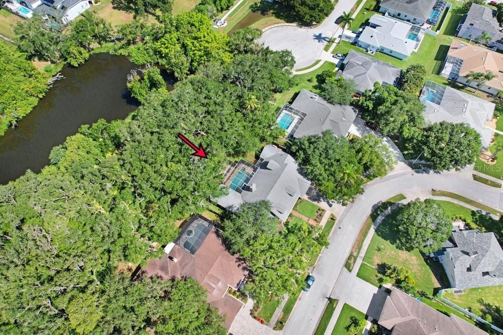 1976 Dunloe Circle, Dunedin, FL 34698 Photo