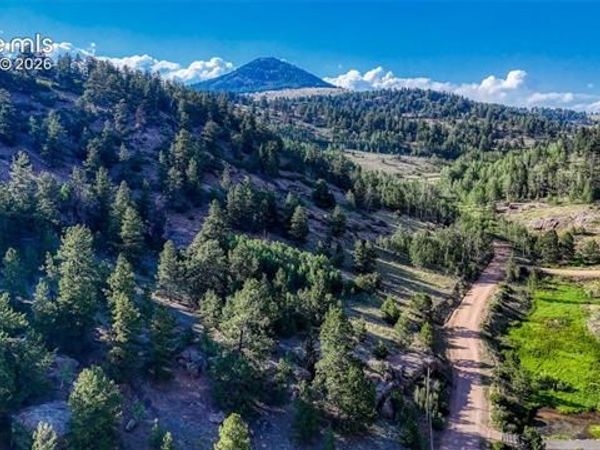 83 Penrose Circle, Cripple Creek, CO 80813