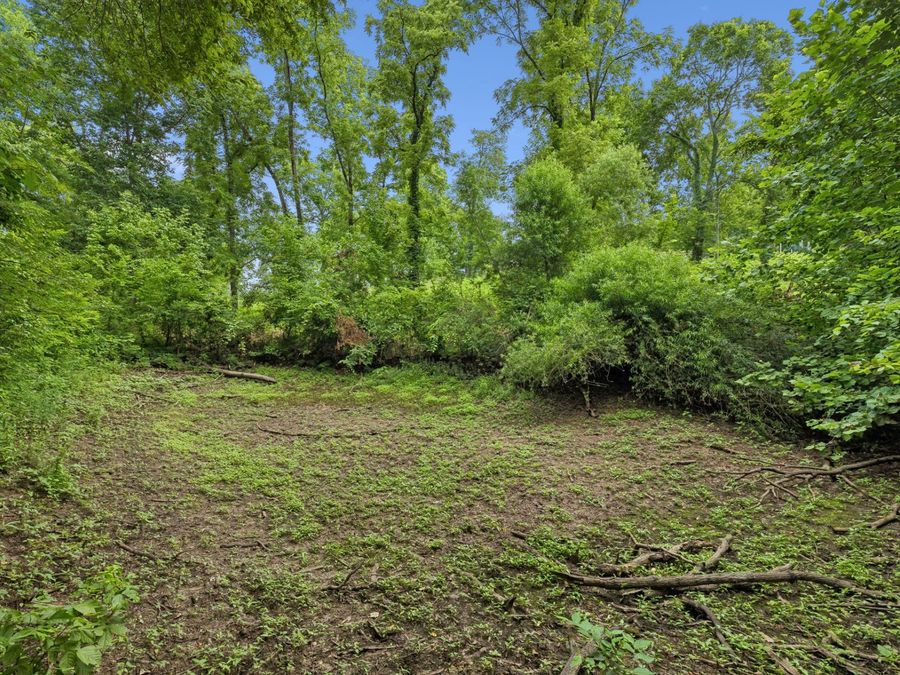 Property Image 56