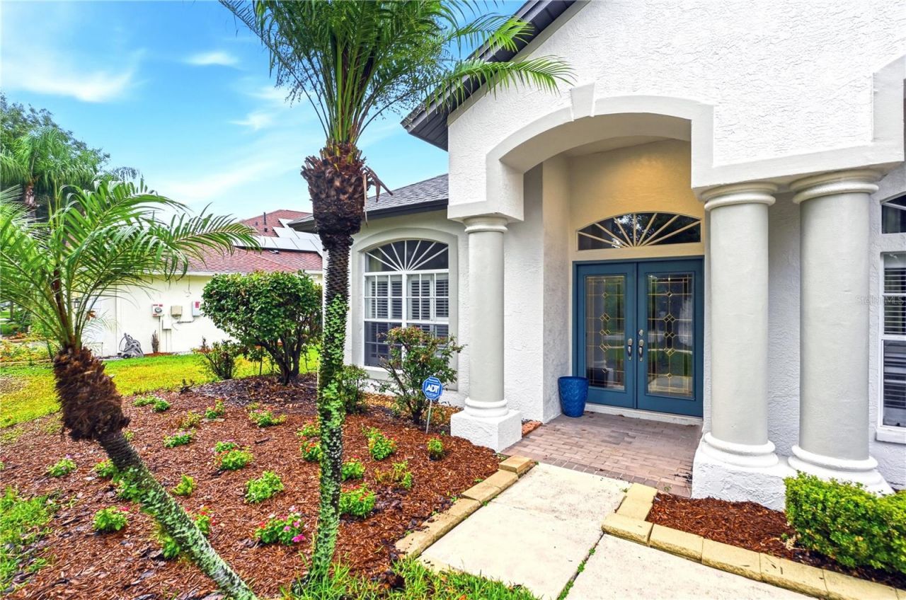 19307 Wind Dancer Street , Lutz, FL 33558 Photo