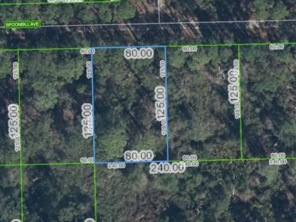 3224 SPOONBILL AVENUE , LAKE PLACID, FL 33852