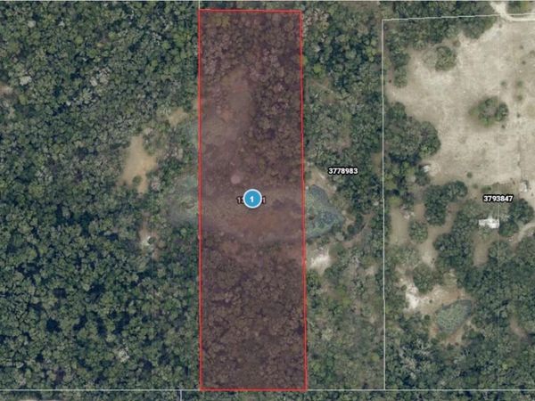 MIKASUKI TRAIL , PAISLEY, FL 32767