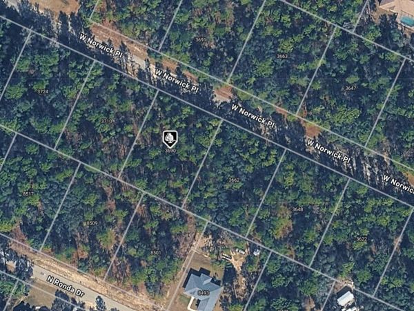 3690 W NORWICK PLACE , DUNNELLON, FL 34433