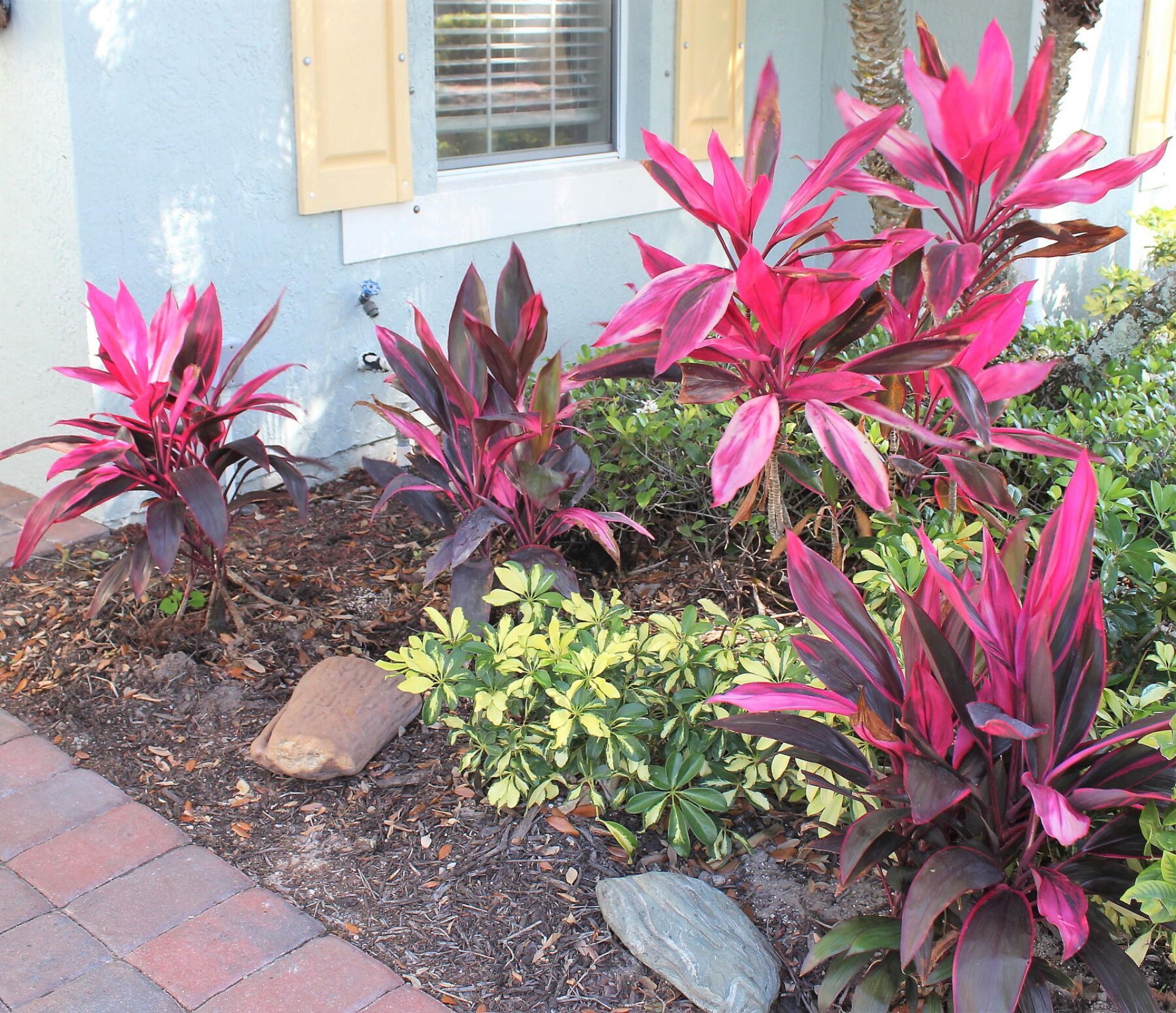 774 Gossamer Wing Way, Sebastian, FL 32958 Photo