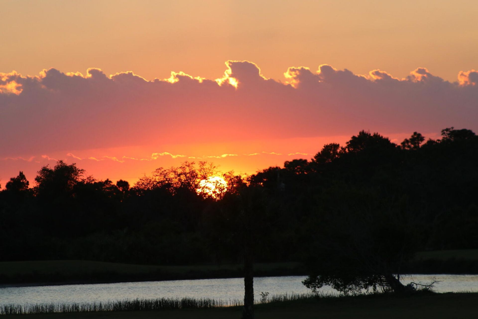 774 Gossamer Wing Way, Sebastian, FL 32958 Photo