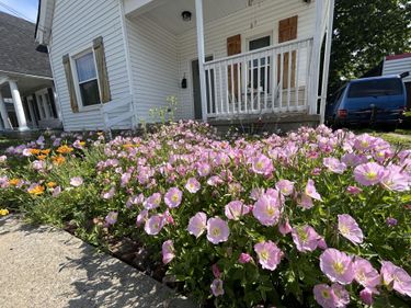 16 16th Street, Paris, KY 40361