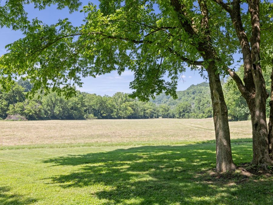 Property Image 76