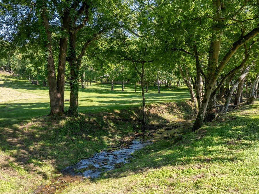 Property Image 83