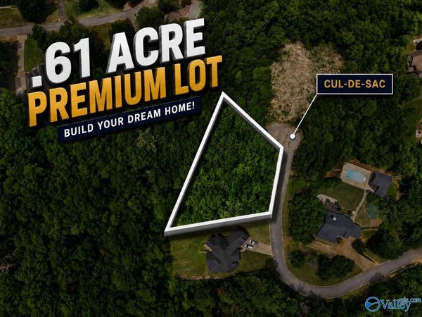 255 Shady Hollow Trail, Glencoe, AL 35905