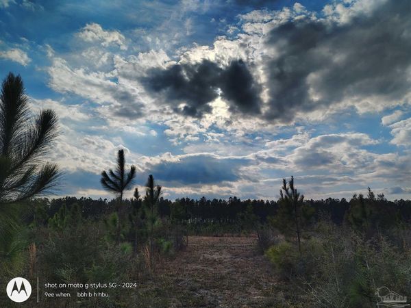4320 Hwy 182, Pace, FL 32565
